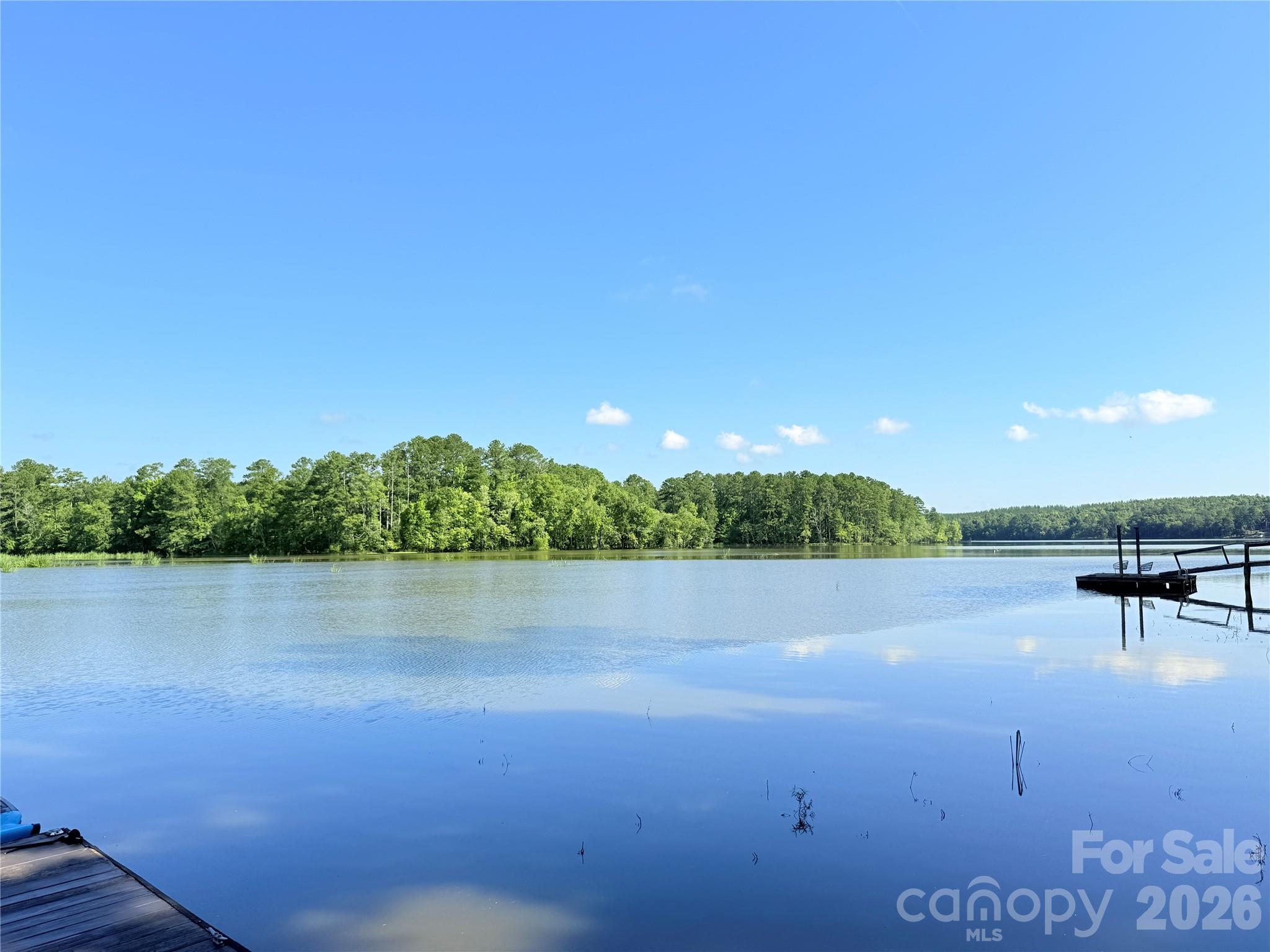 2051 Great North Road Winnsboro, SC 29180 - Photo 3 of 6