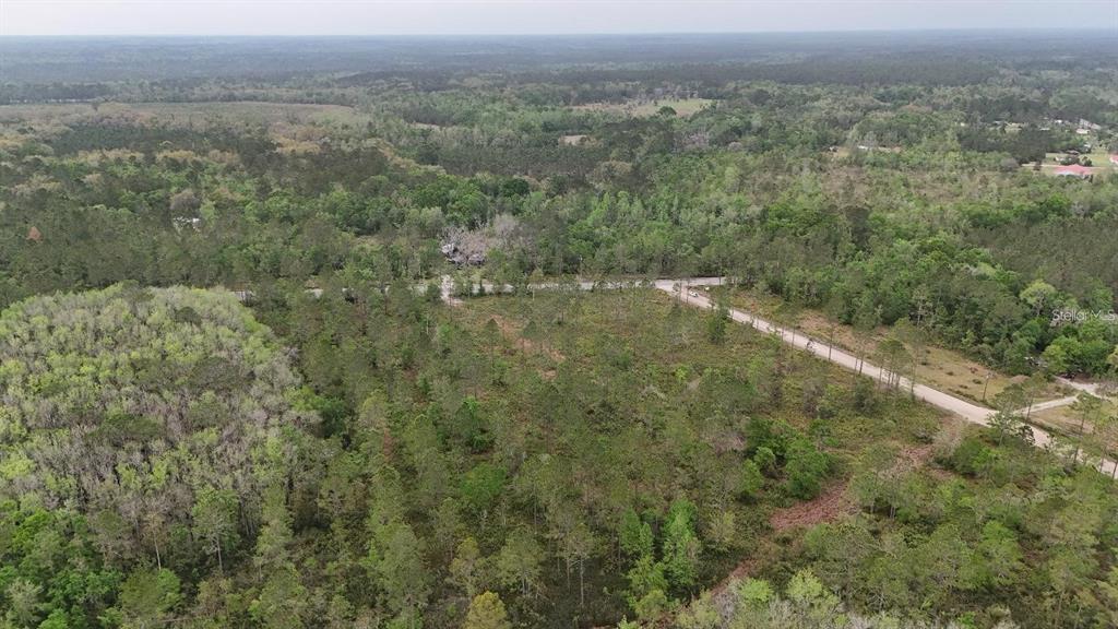 25 Southeast A Se County Road White Springs, FL 32096 - Photo 14 of 18 an aerial view of forest