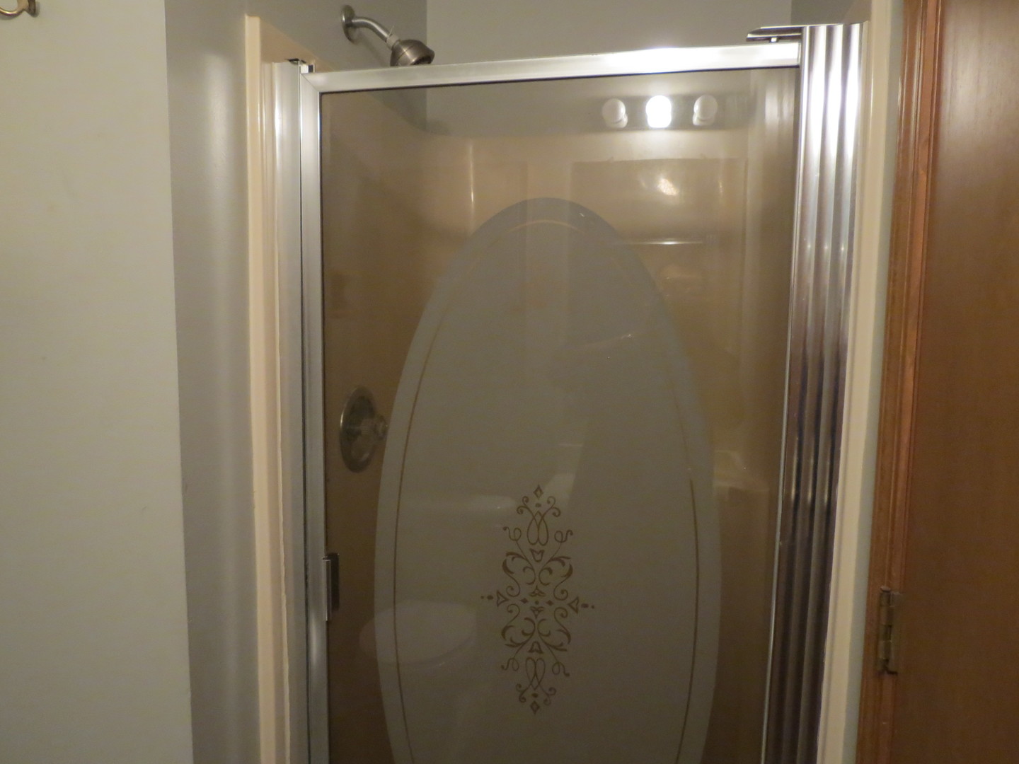 274 East 34th Street Steger, IL 60475 - Photo 18 of 26 a bathroom with a glass shower door