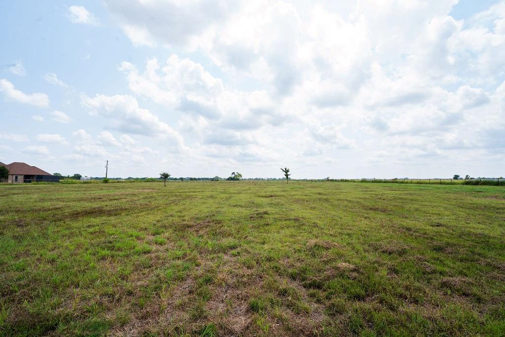 1901 Hunsucker Road Red Oak, TX 75152 - Photo 11 of 15