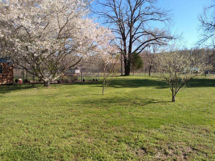 32 Porter Hollow Road Linden, TN 37096 - Photo 42 of 47 Gallery Image 42