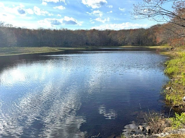 Lot 1 Gould Road Charlton, MA 01507 - Photo 4 of 10