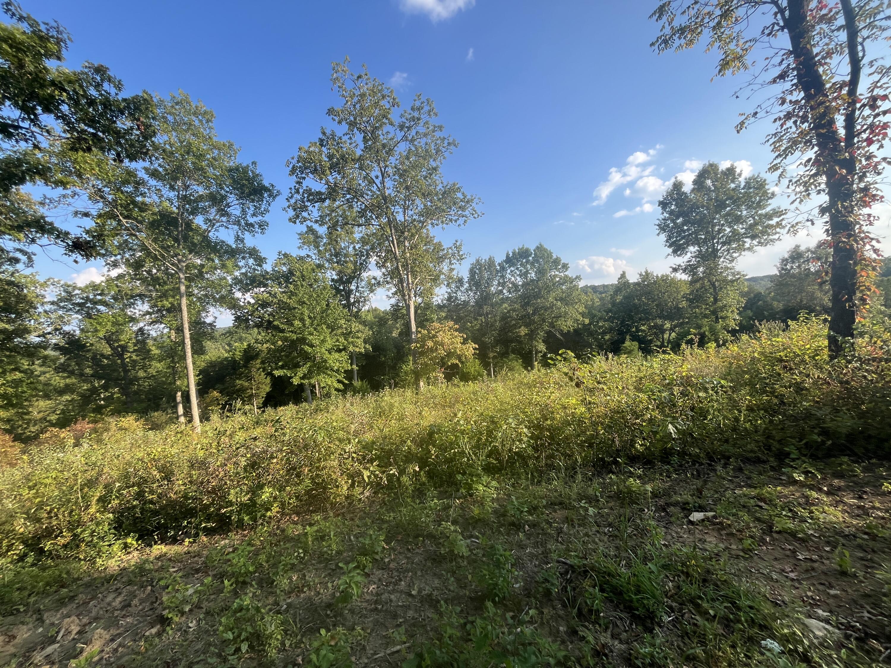 5631 Gest Road Pleasureville, KY 40057 - Photo 12 of 20 Gallery Image 12