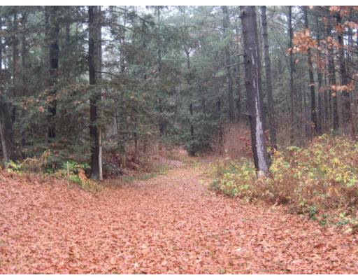 35 Long Plain Road Whately, MA 01373 - Photo 13 of 13 Gallery Image 13