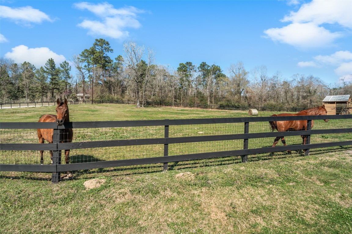 40 Stewart Road New Waverly, TX 77358 - Photo 49 of 50 a view of a park with large trees