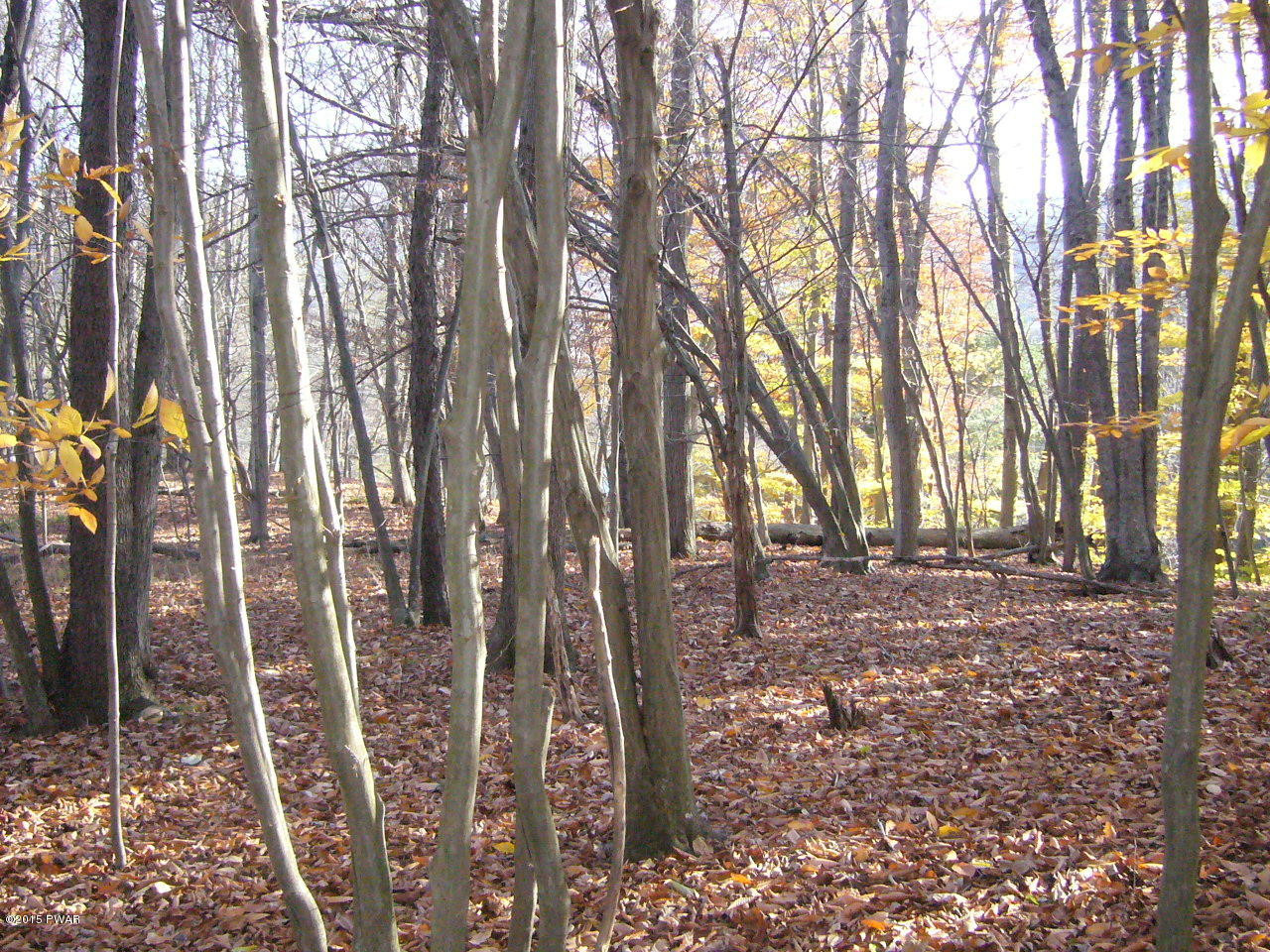 215 O And W Road Fishs Eddy, NY 13774 - Photo 23 of 43 Gallery Image 23