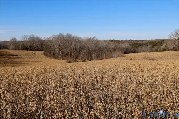 a view of a dry yard with trees