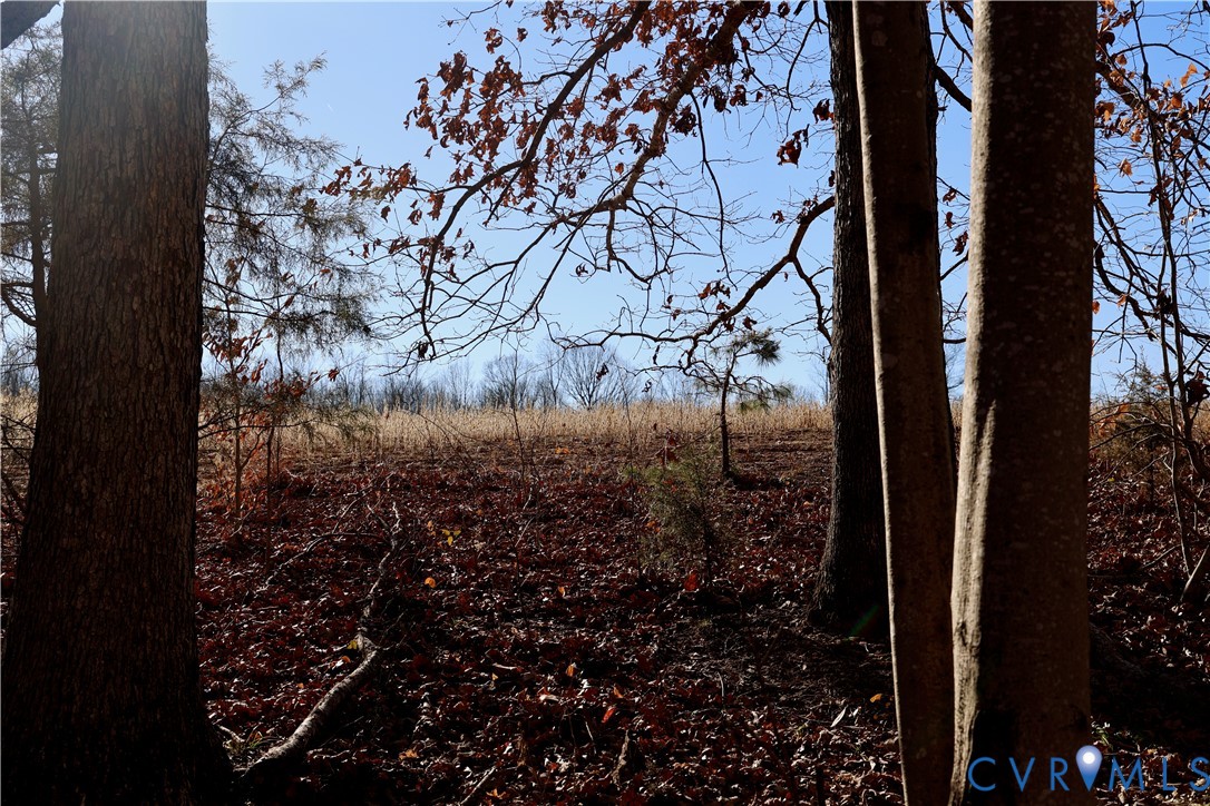 0 Bradley Creek Road Nathalie, VA 24577 - Photo 16 of 50