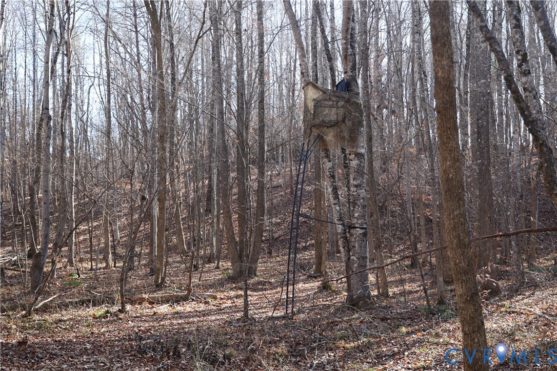 0 Bradley Creek Road Nathalie, VA 24577 - Photo 22 of 50