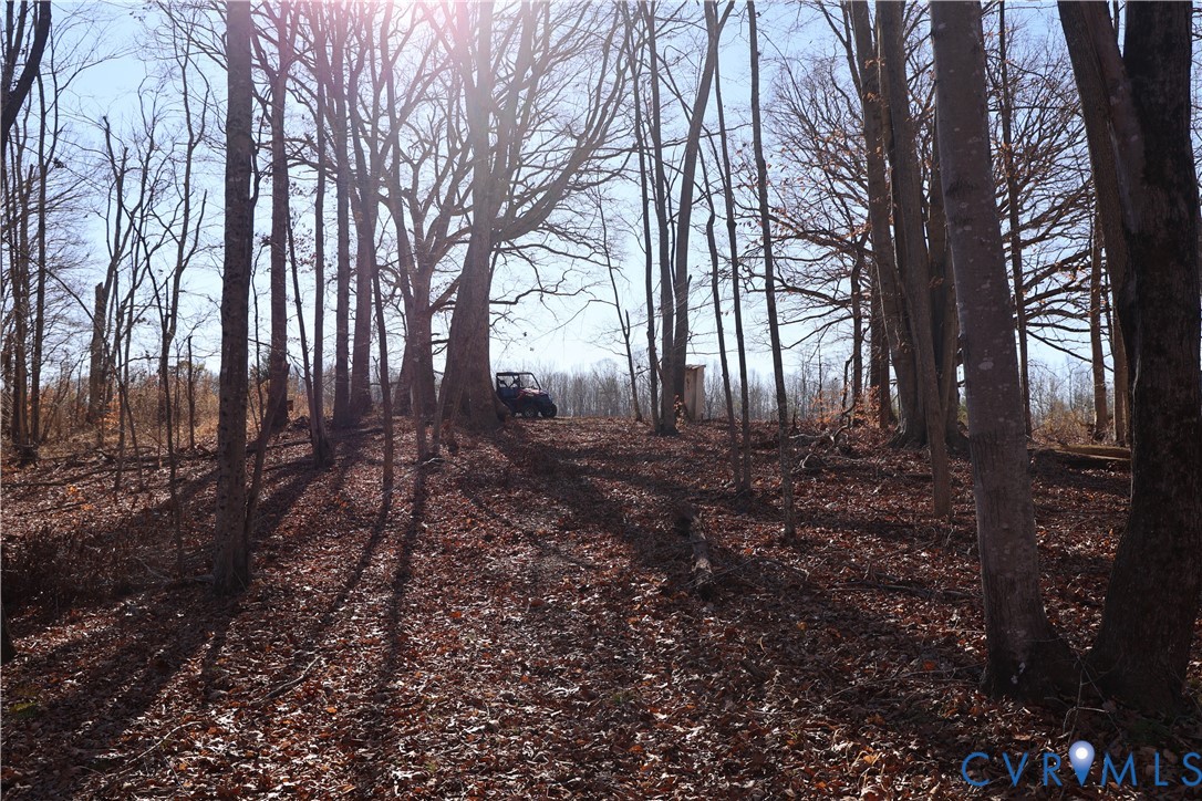0 Bradley Creek Road Nathalie, VA 24577 - Photo 25 of 50