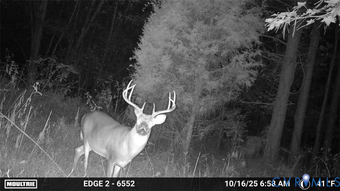 0 Bradley Creek Road Nathalie, VA 24577 - Photo 26 of 50