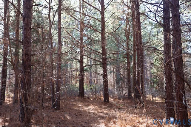 $475,000 | 0 Bradley Creek Road, Nathalie, VA 24577