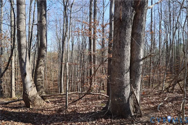 $475,000 | 0 Bradley Creek Road, Nathalie, VA 24577