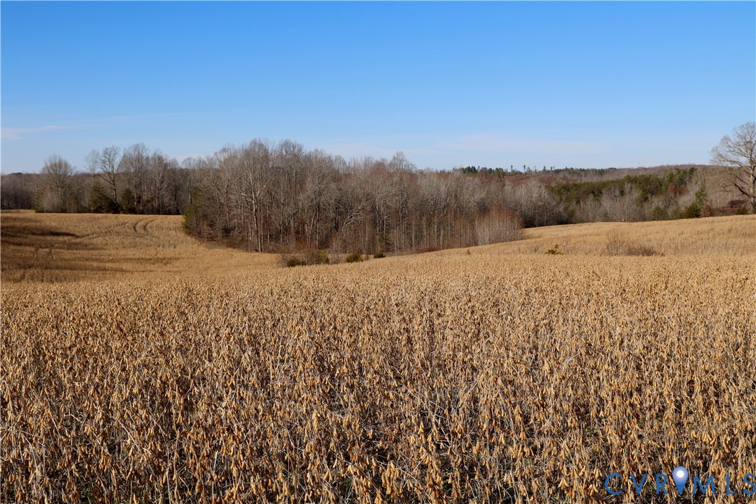 0 Bradley Creek Road Nathalie, VA 24577 - Photo 4 of 50