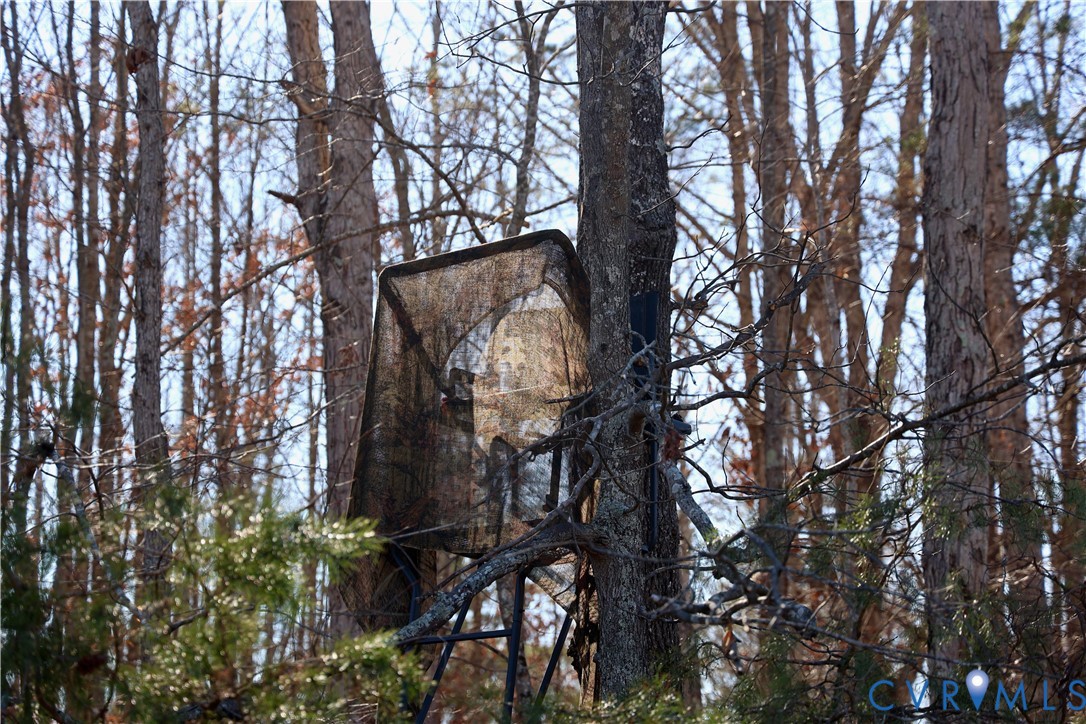 0 Bradley Creek Road Nathalie, VA 24577 - Photo 6 of 50
