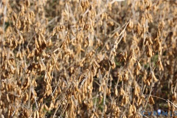 a close up view of sink