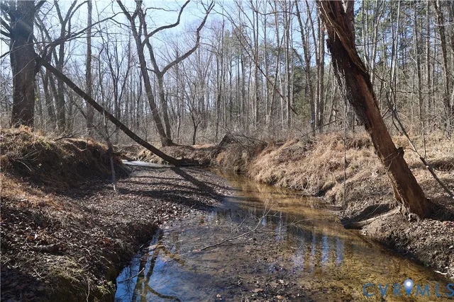 $475,000 | 0 Bradley Creek Road, Nathalie, VA 24577