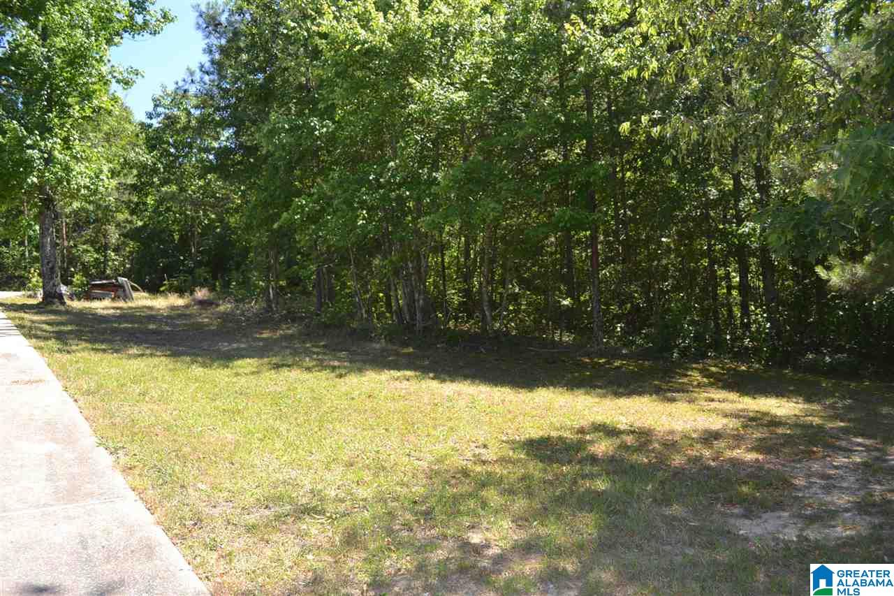300 Williamsburg Road Altoona, AL 35952 - Photo 38 of 38
