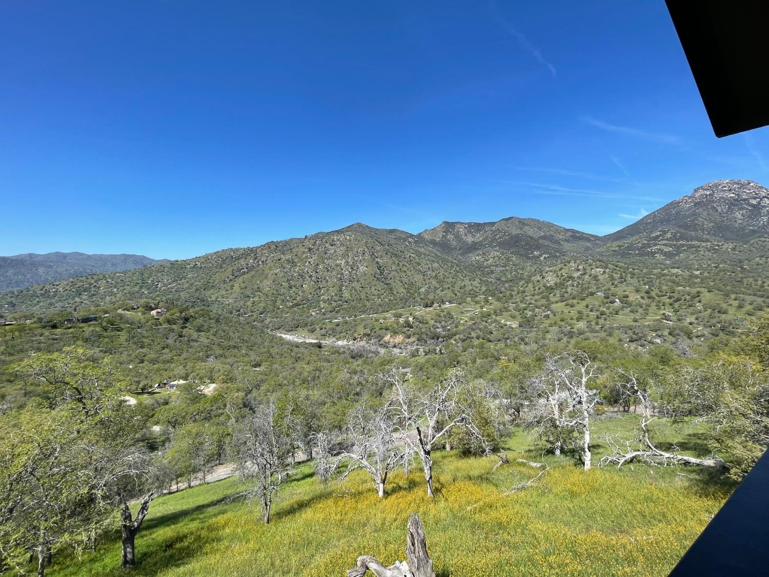45431 Hammond Drive Three Rivers, CA 93271 - Photo 51 of 64 Gallery Image 51