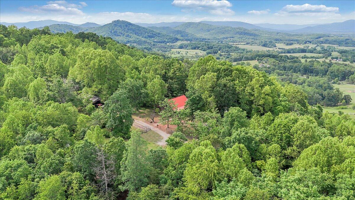 1466 Oak Ridge Farm Road Moneta, VA 24121 - Photo 48 of 66 46-DJI_20250515154632_0023_D