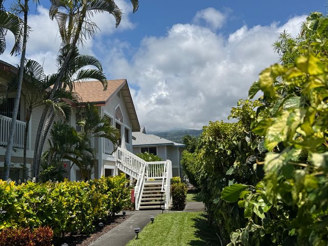 a picture of flowers