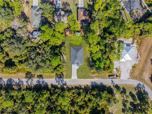 a view of a bunch of flowers