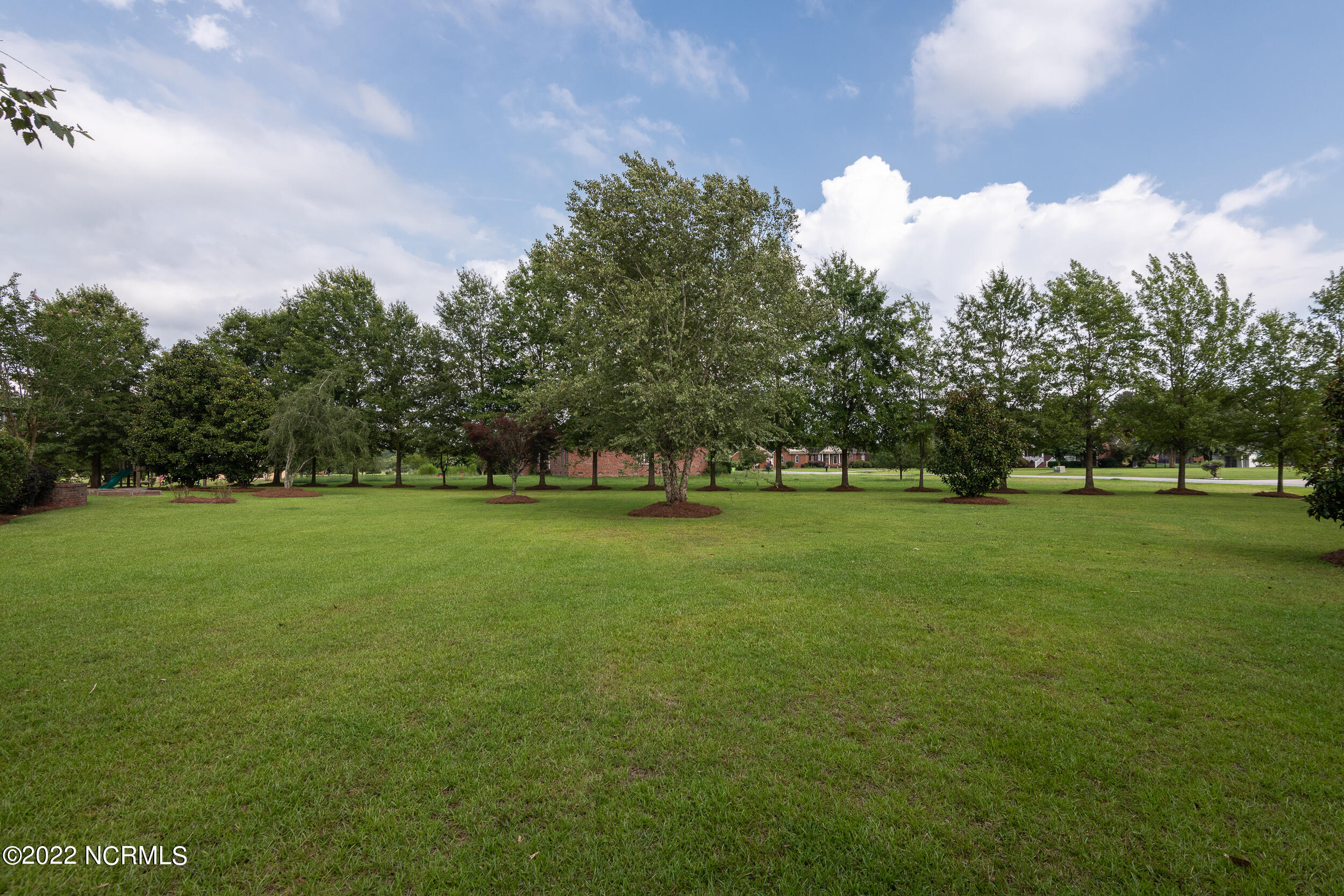 1431 Devon Drive Grimesland, NC 27837 - Photo 11 of 74 1431_Devon-14
