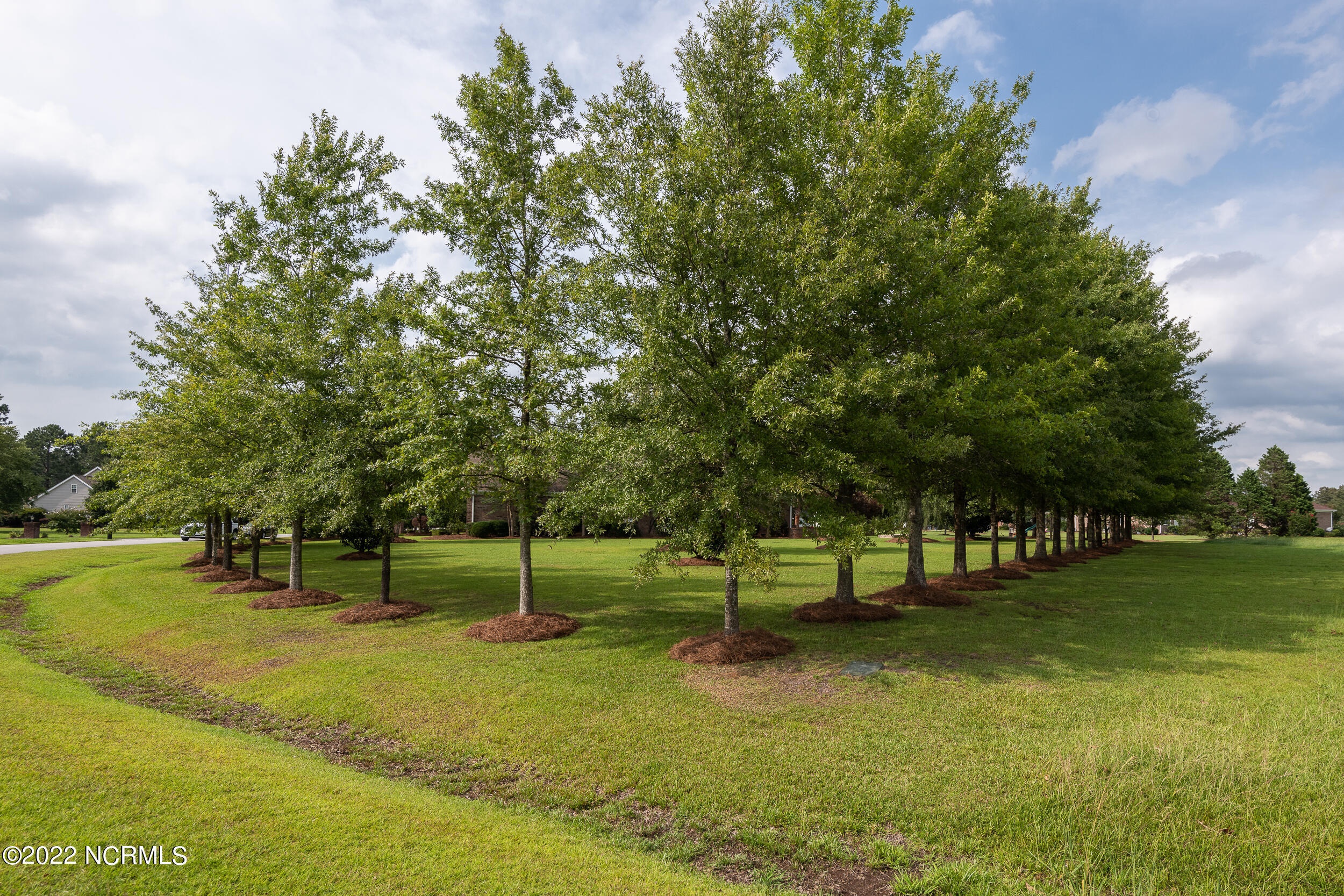 1431 Devon Drive Grimesland, NC 27837 - Photo 21 of 74 1431_Devon-25