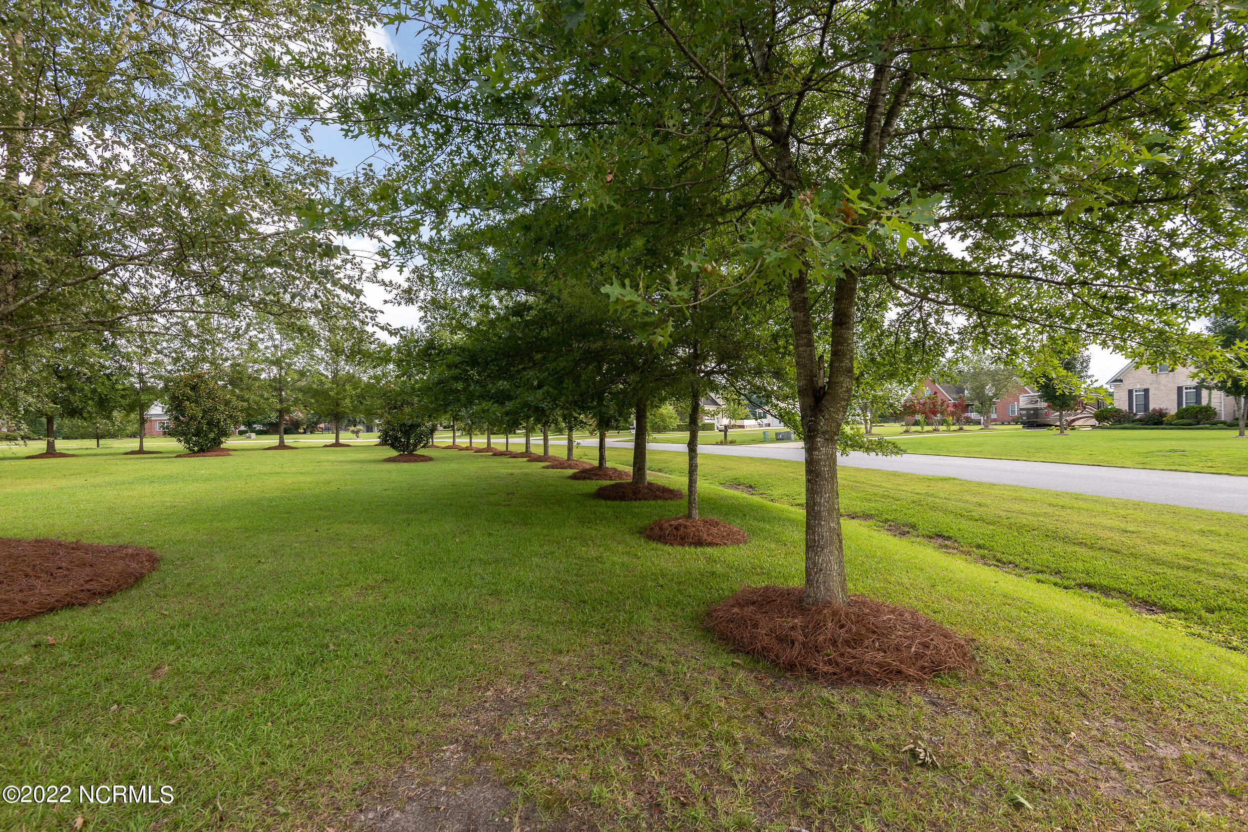 1431 Devon Drive Grimesland, NC 27837 - Photo 9 of 74 1431_Devon-12