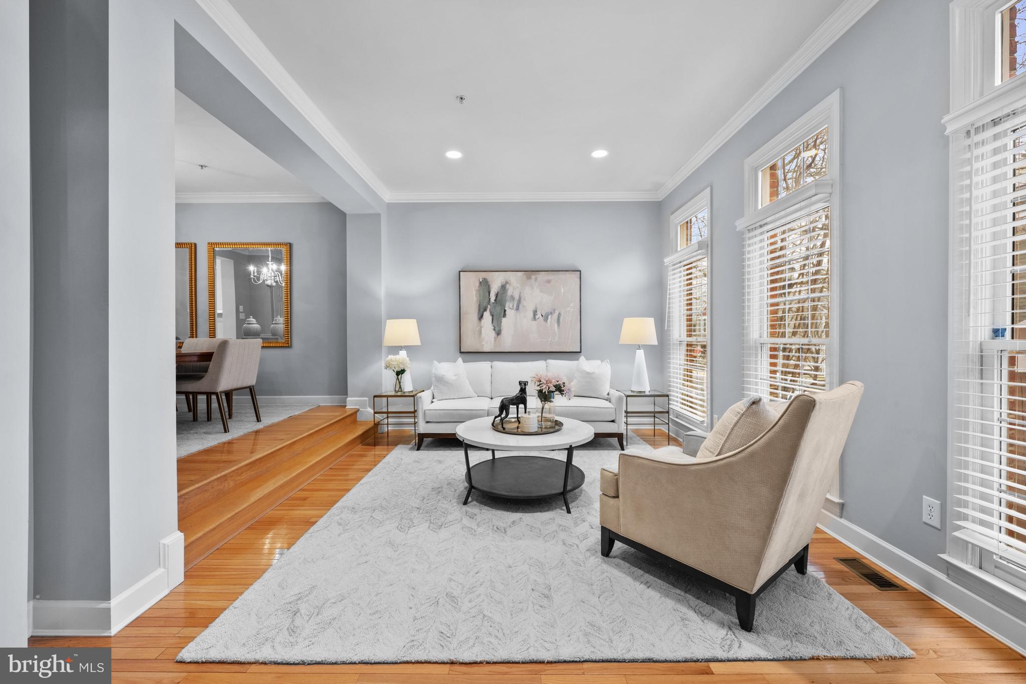 313 Hart Road Gaithersburg, MD 20878 - Photo 4 of 33 a living room with furniture and a rug