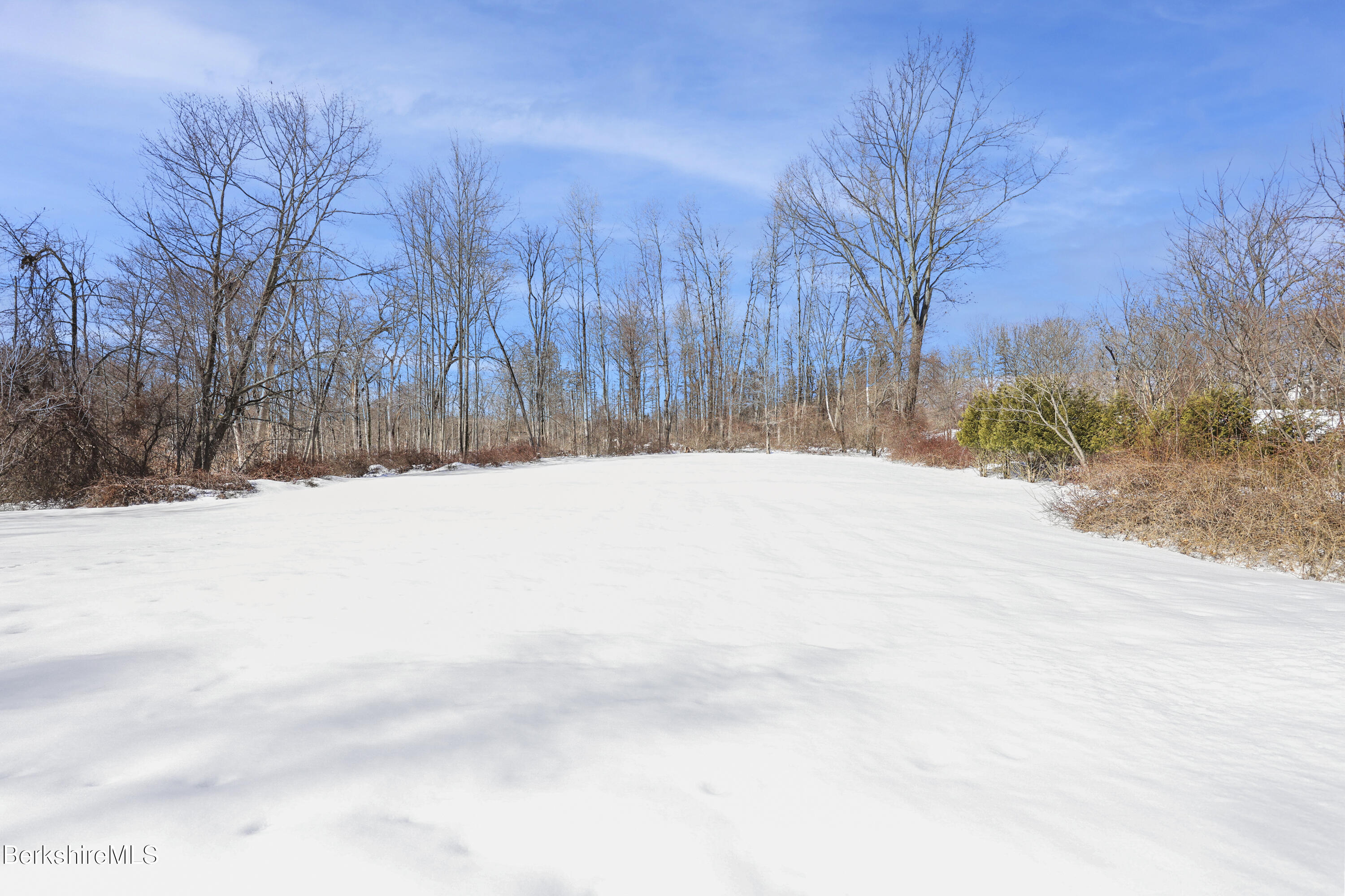 89 Delancy Avenue Pittsfield, MA 01201 - Photo 38 of 40 a view of a snow on the side of a road
