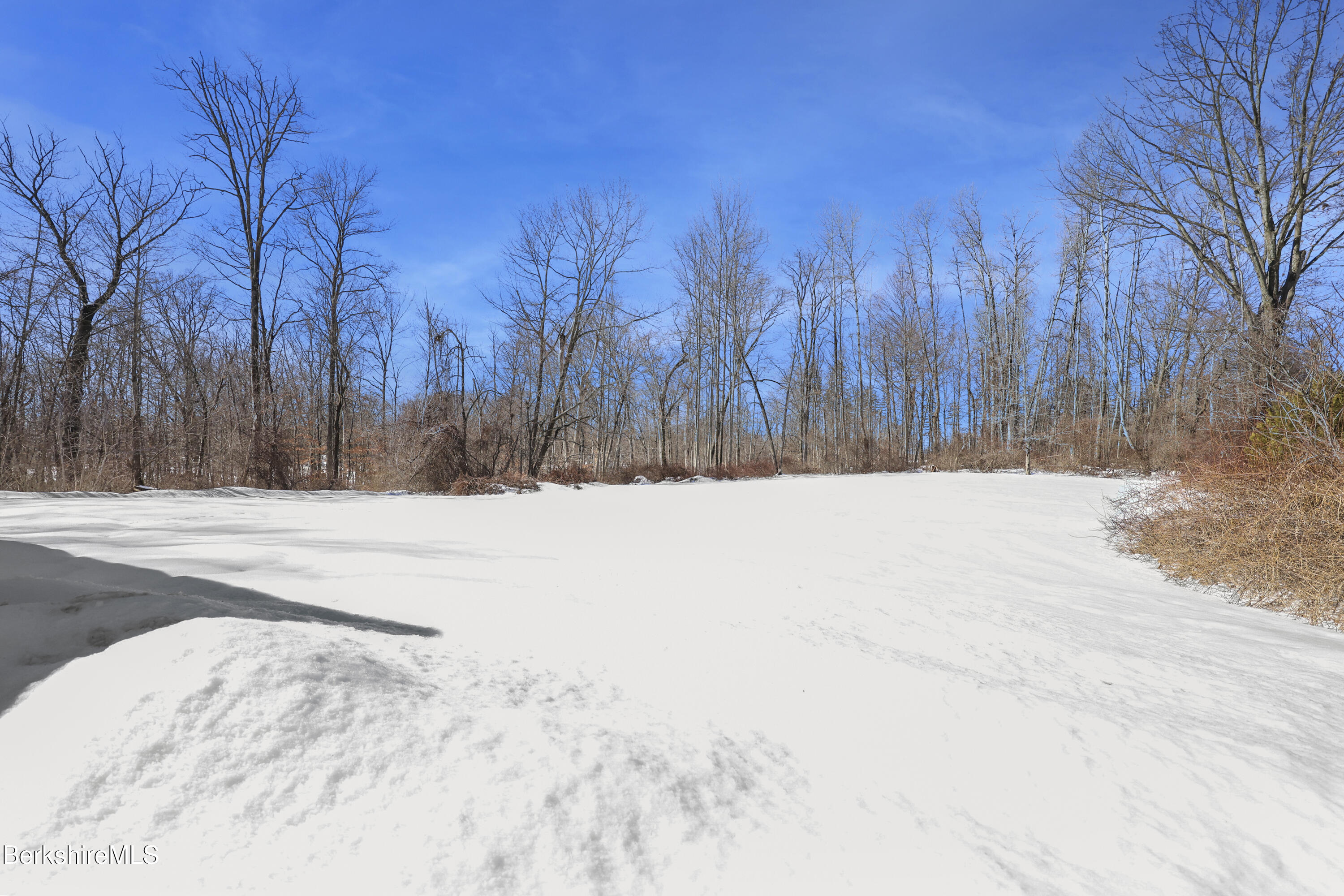 89 Delancy Avenue Pittsfield, MA 01201 - Photo 39 of 40 a view of side of snow with trees in the background