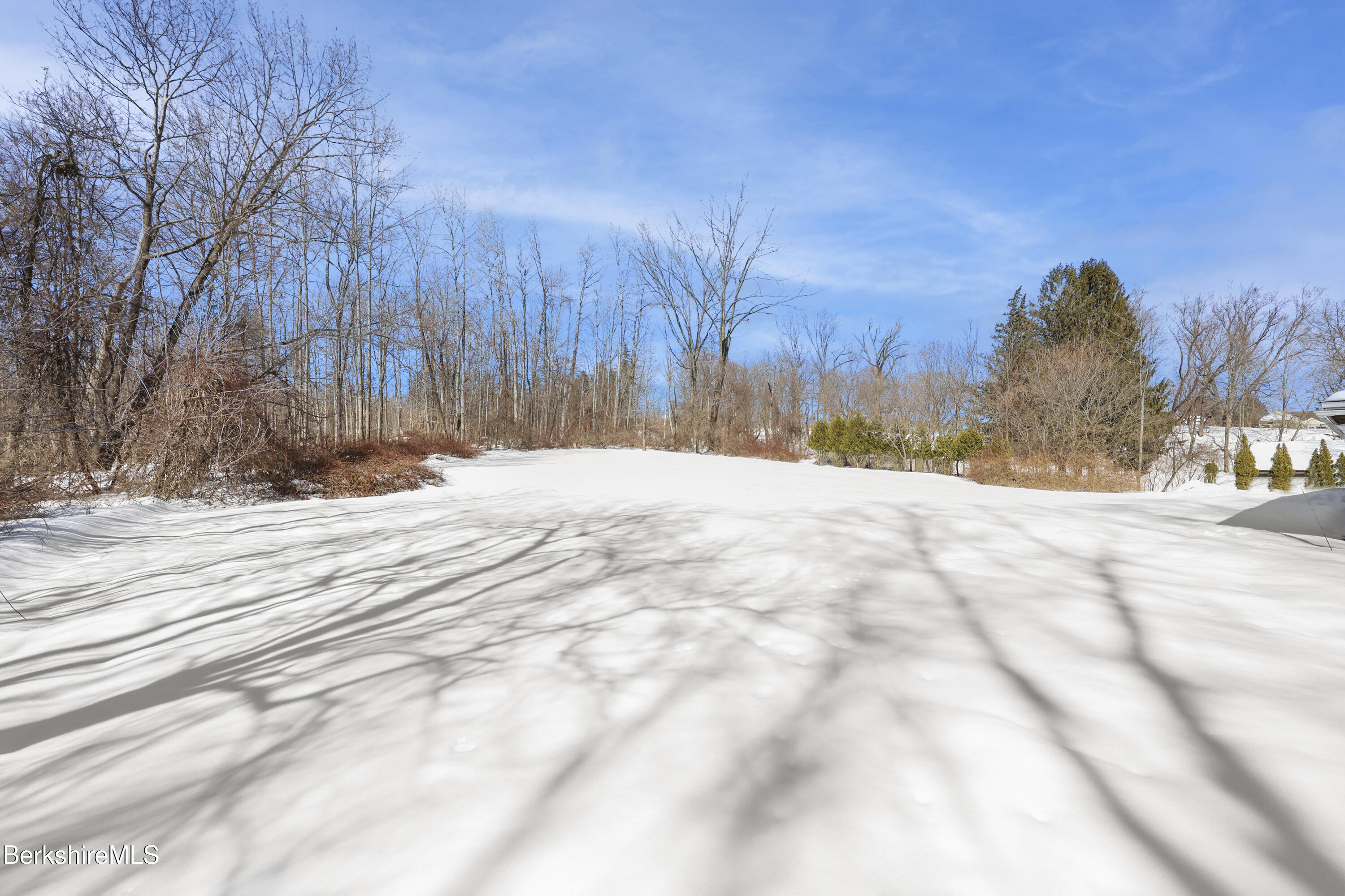 89 Delancy Avenue Pittsfield, MA 01201 - Photo 40 of 40 a view of large space with a house