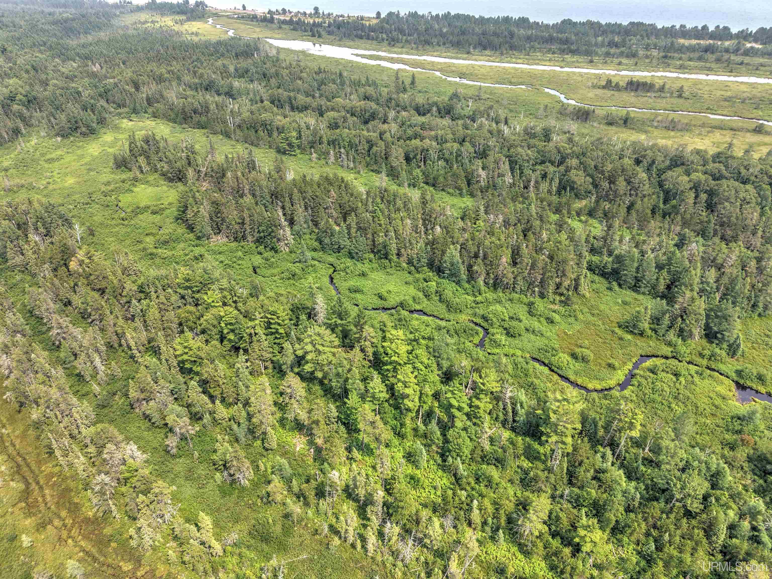 Tbd Near Rice Lake & Big Traverse Bay Rds Road Lake Linden, MI 49945 - Photo 5 of 17 Gallery Image 5