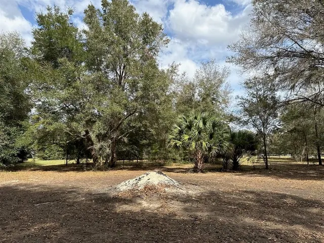 $150,000 | 0 Northeast 184th Place, Citra, FL 32113