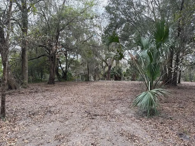 $150,000 | 0 Northeast 184th Place, Citra, FL 32113