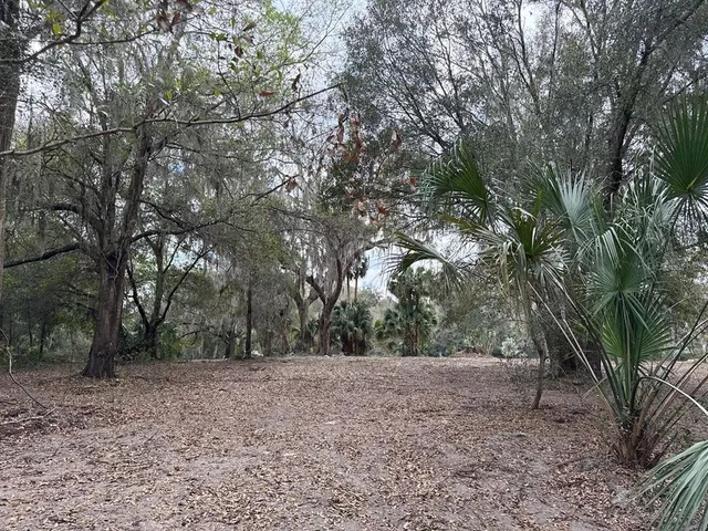 $150,000 | 0 Northeast 184th Place, Citra, FL 32113