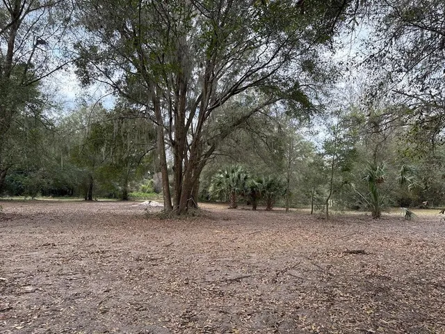 $150,000 | 0 Northeast 184th Place, Citra, FL 32113