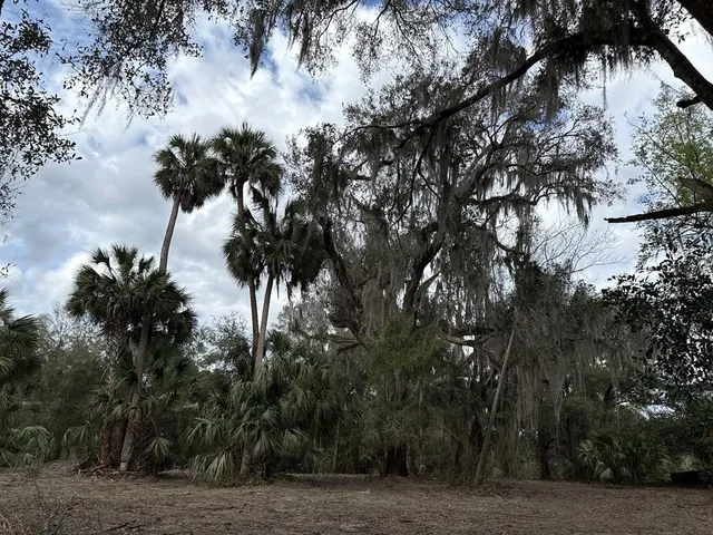 $150,000 | 0 Northeast 184th Place, Citra, FL 32113