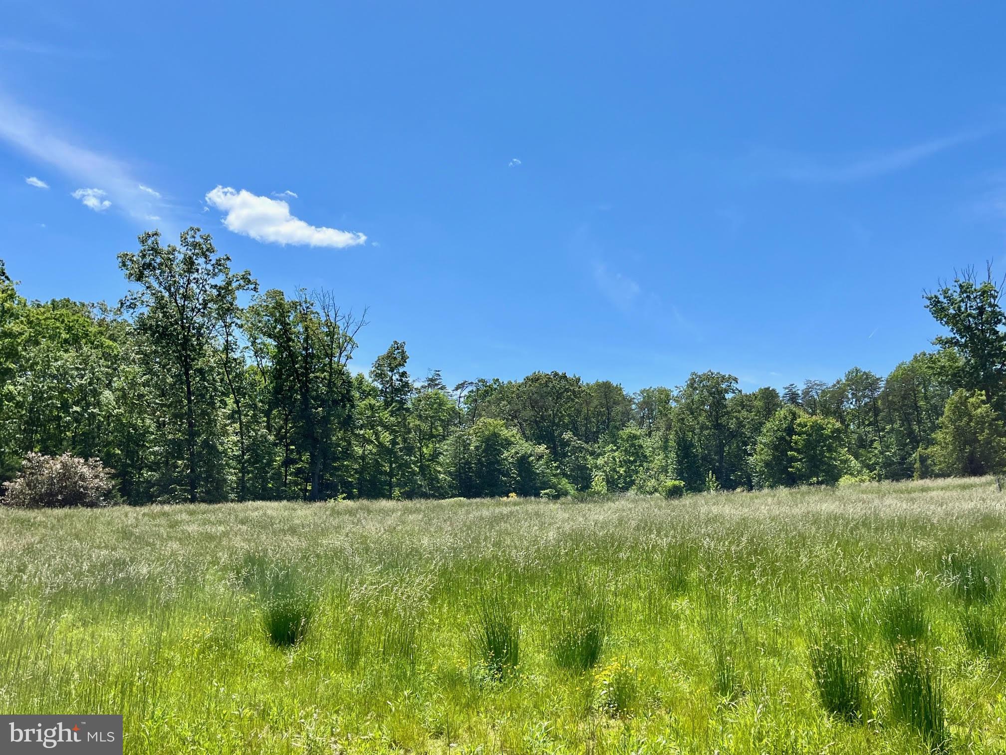 12370 Purcell Road Manassas, VA 20112 - Photo 1 of 30 Beautiful 15+ acres w/ foundation & improvements.
