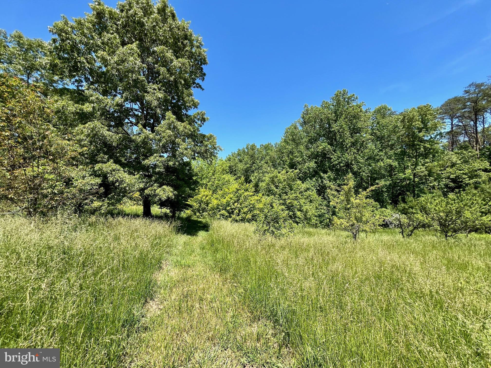 12370 Purcell Road Manassas, VA 20112 - Photo 13 of 30 Gorgeous land w/ orchard