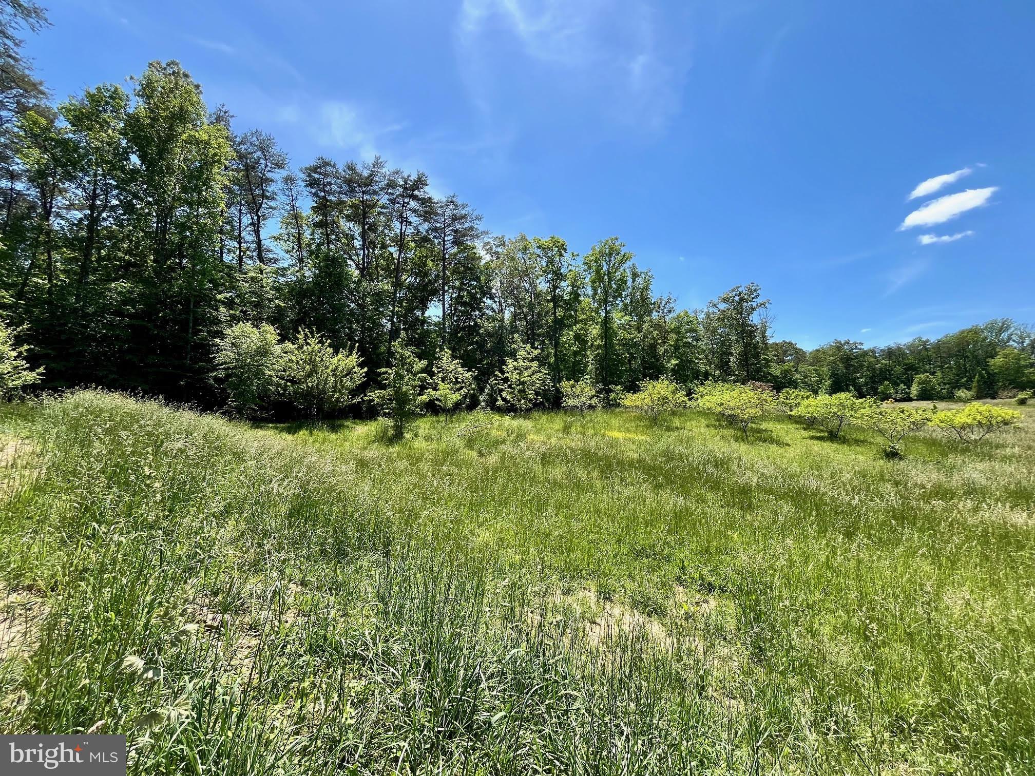 12370 Purcell Road Manassas, VA 20112 - Photo 19 of 30 Meadows and mature trees