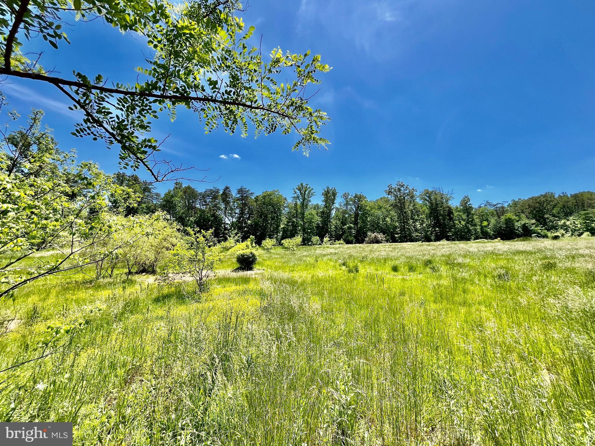 12370 Purcell Road Manassas, VA 20112 - Photo 20 of 30 Fields of wild flowers