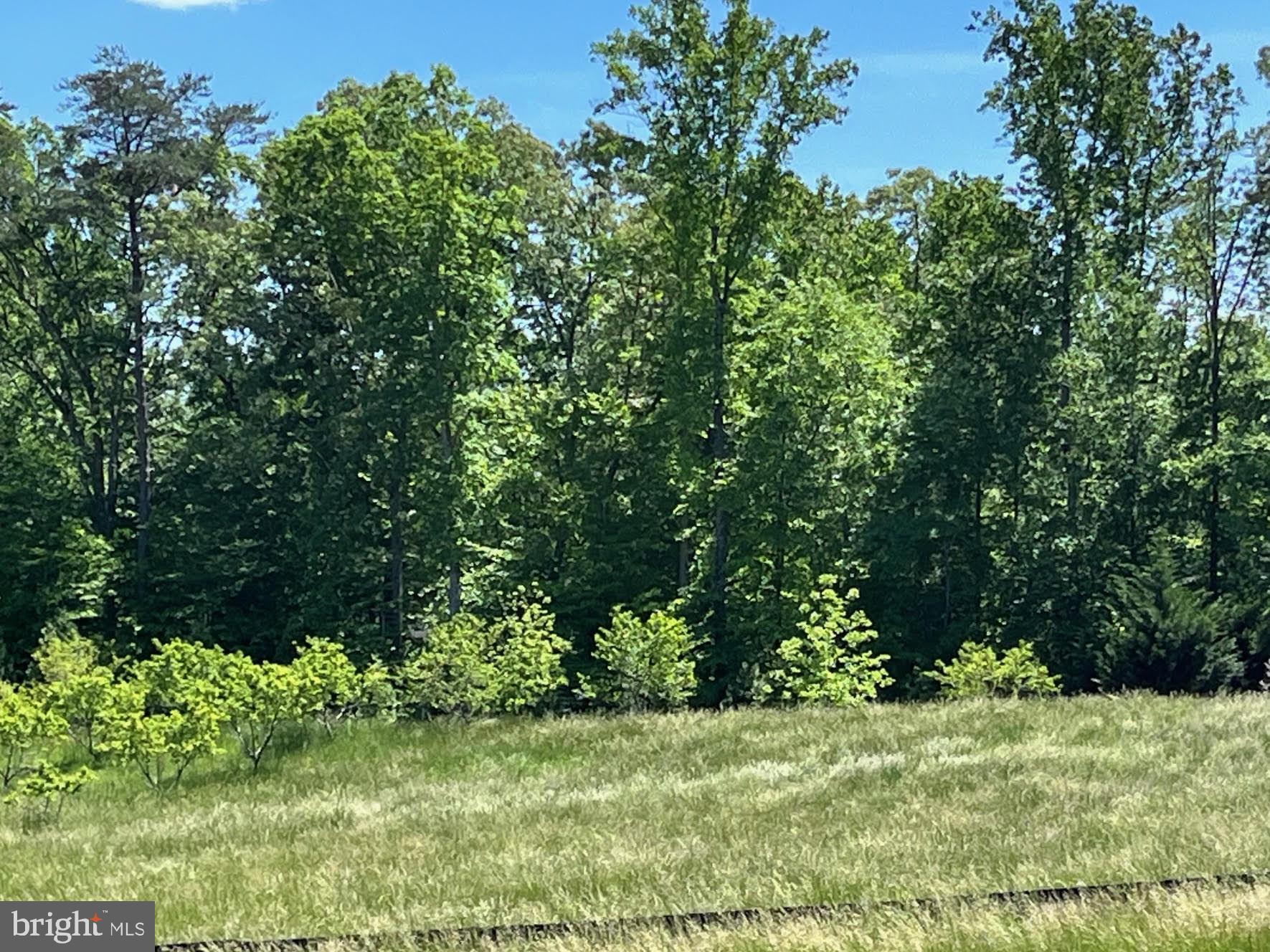12370 Purcell Road Manassas, VA 20112 - Photo 21 of 30 Treed periphery
