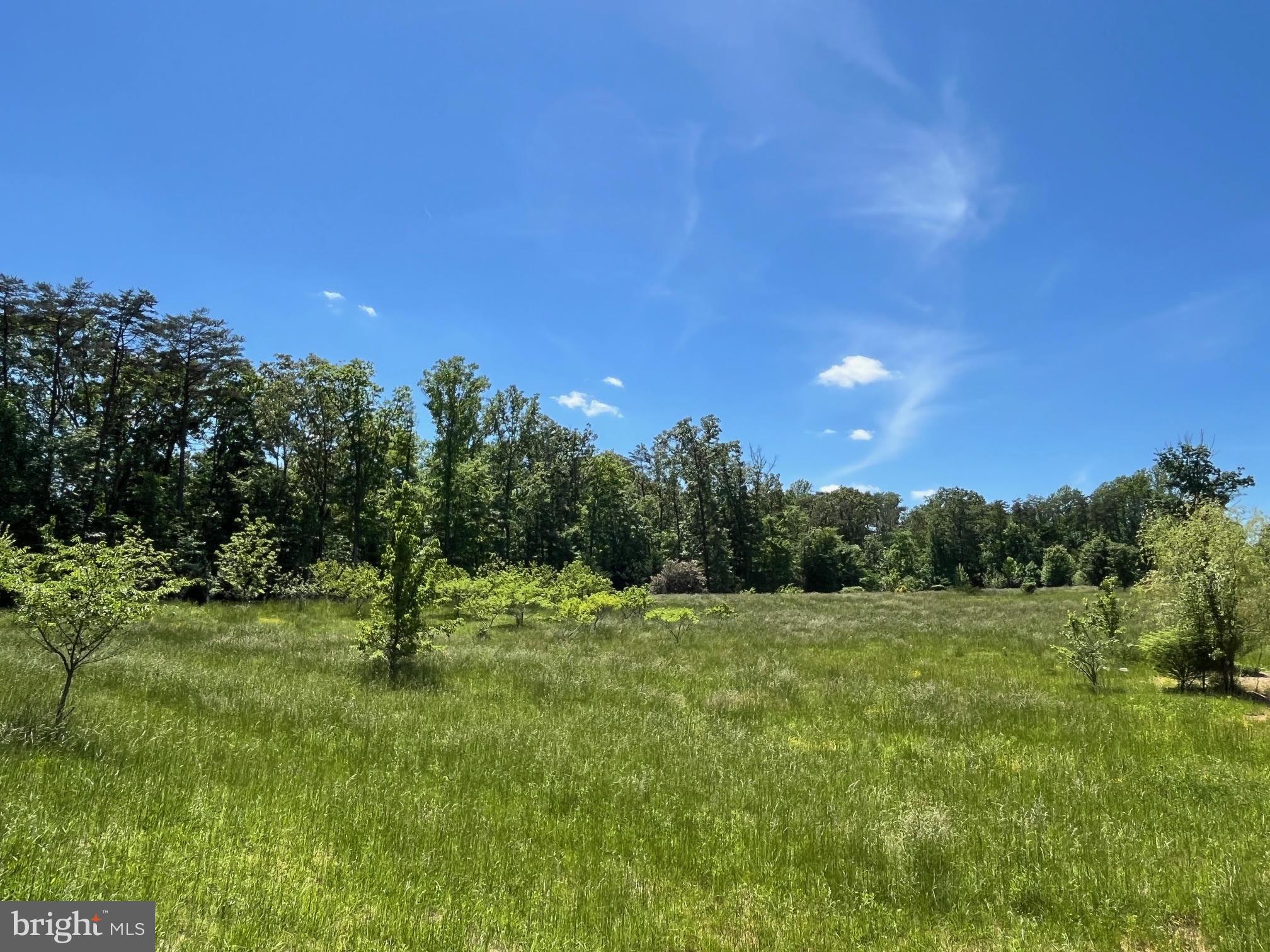 12370 Purcell Road Manassas, VA 20112 - Photo 22 of 30 Plenty of room for roaming, bird watching & horses