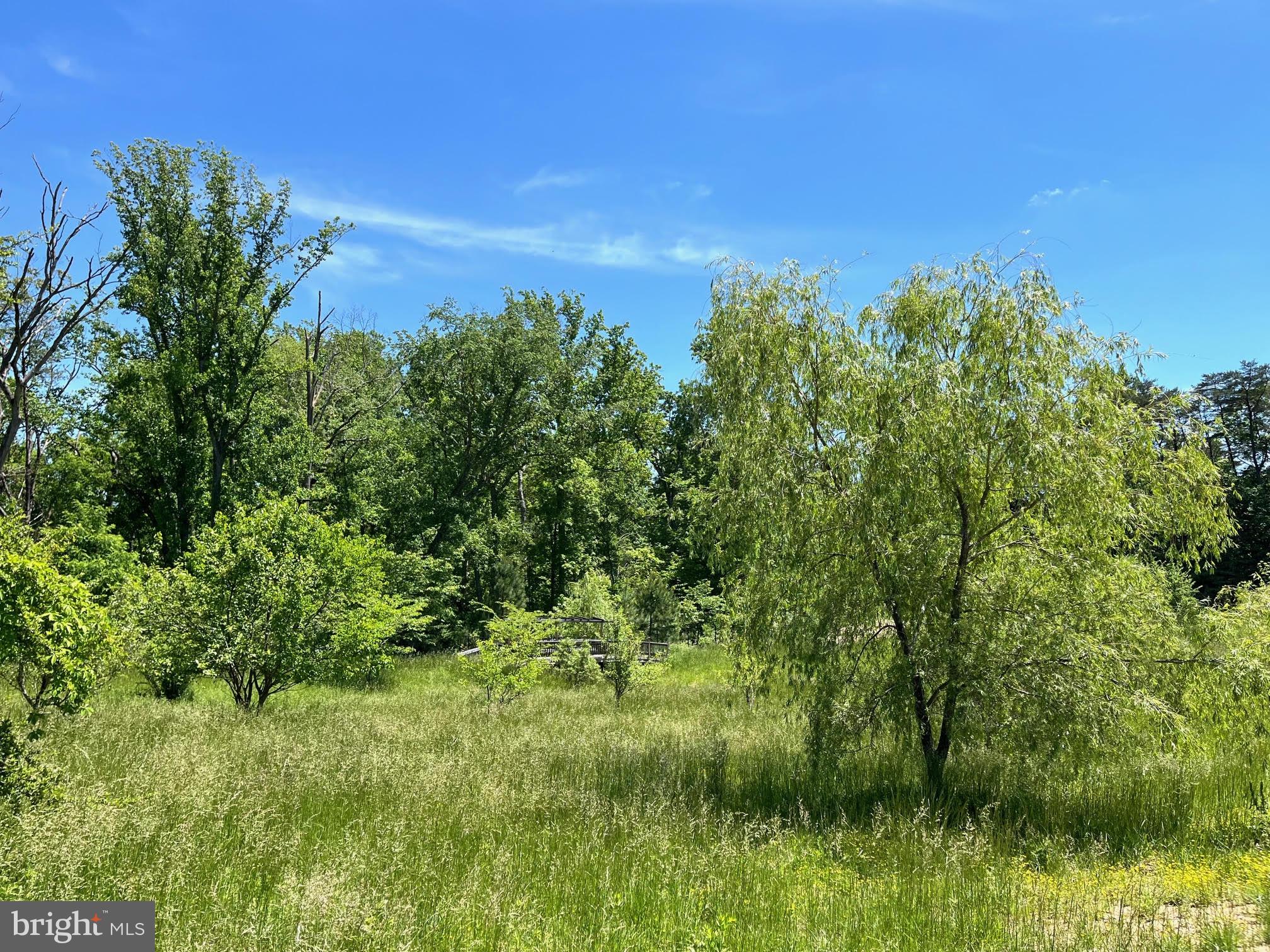 12370 Purcell Road Manassas, VA 20112 - Photo 23 of 30 Mature trees