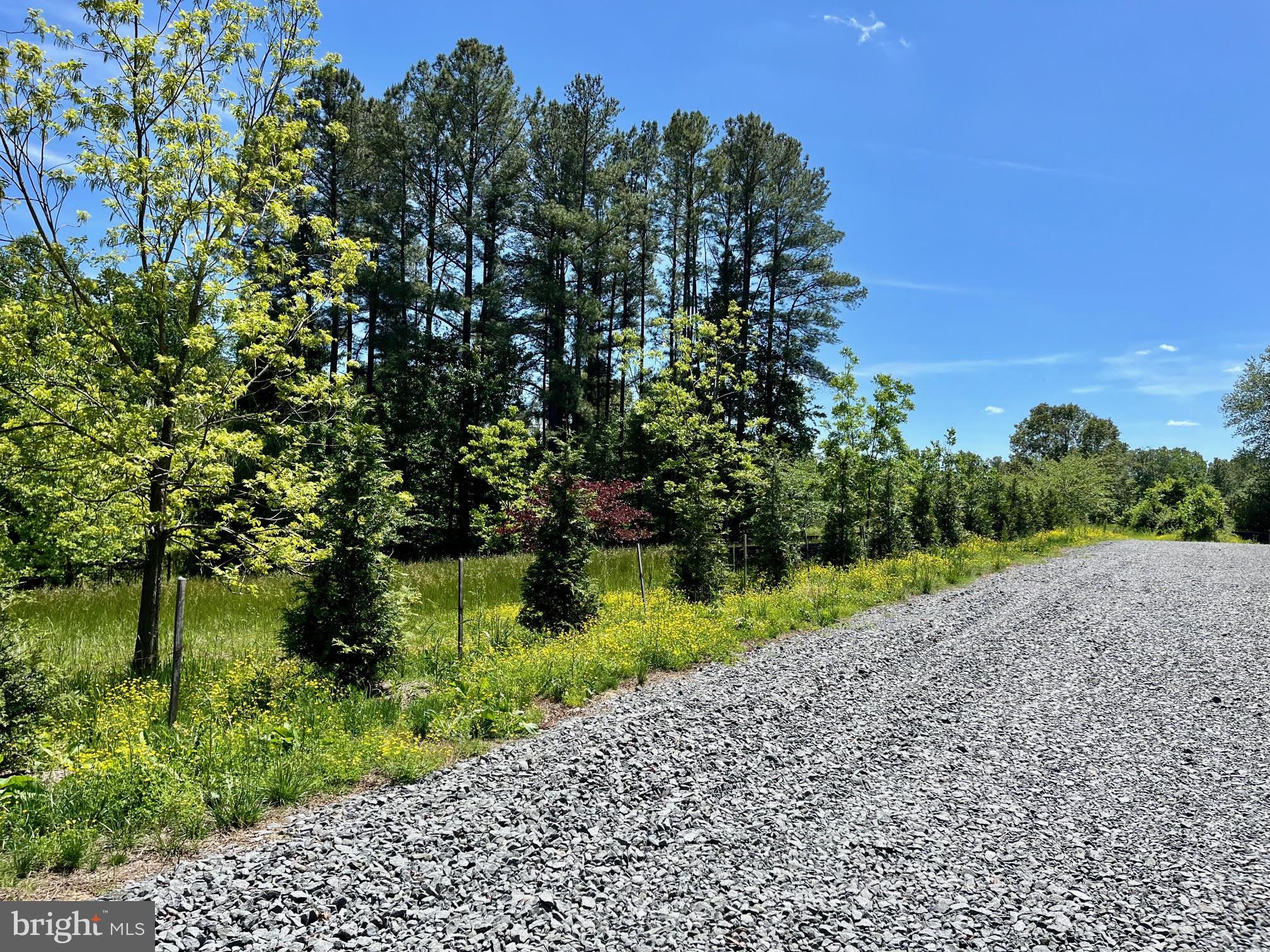 12370 Purcell Road Manassas, VA 20112 - Photo 25 of 30 Landscaped lane