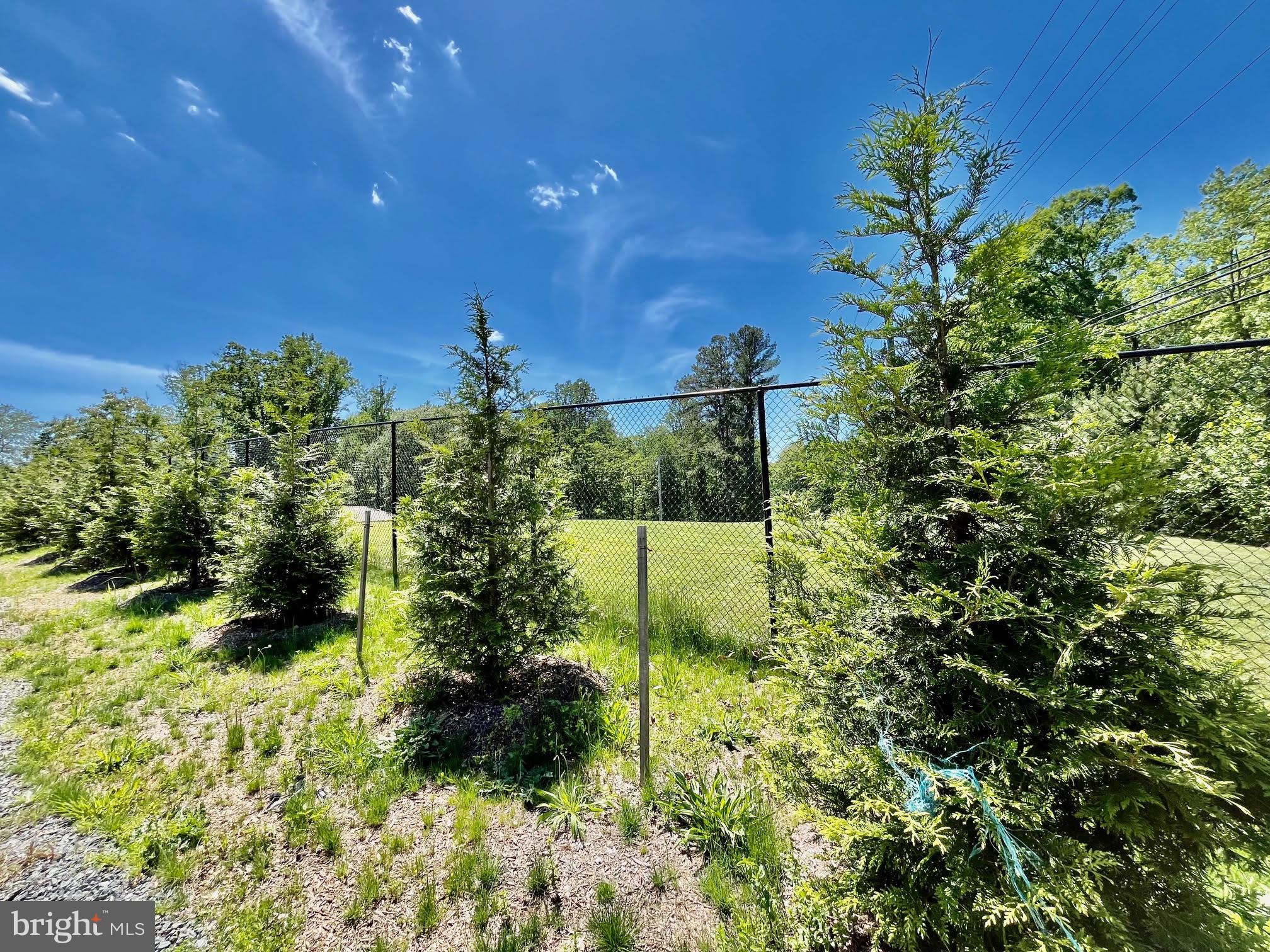 12370 Purcell Road Manassas, VA 20112 - Photo 7 of 30 Entire property is fenced & treed for privacy