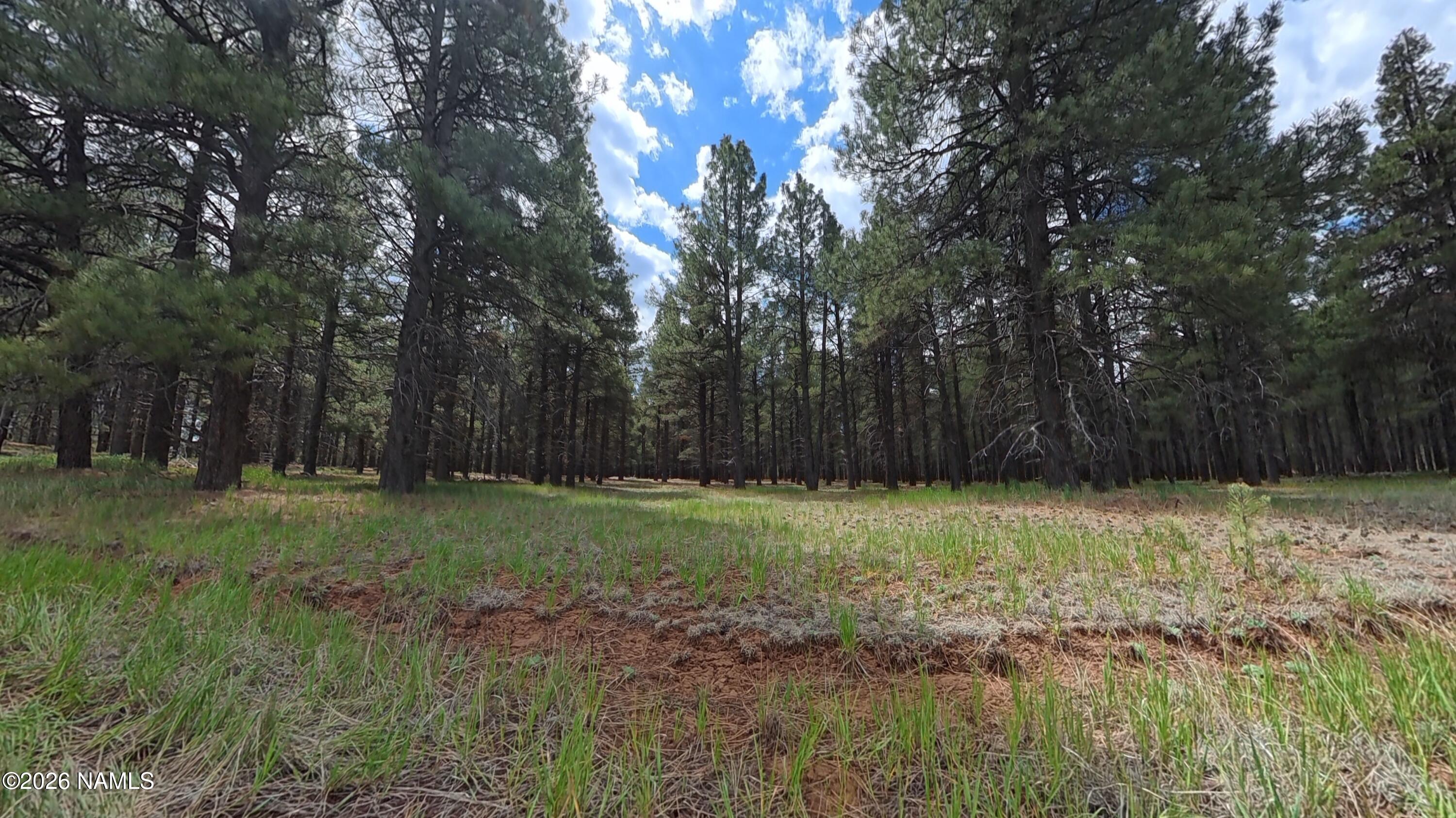 12565 Camp Kimball Road Parks, AZ 86005 - Photo 57 of 60 VID_20260501_104738_00_193_2026-05-04_11