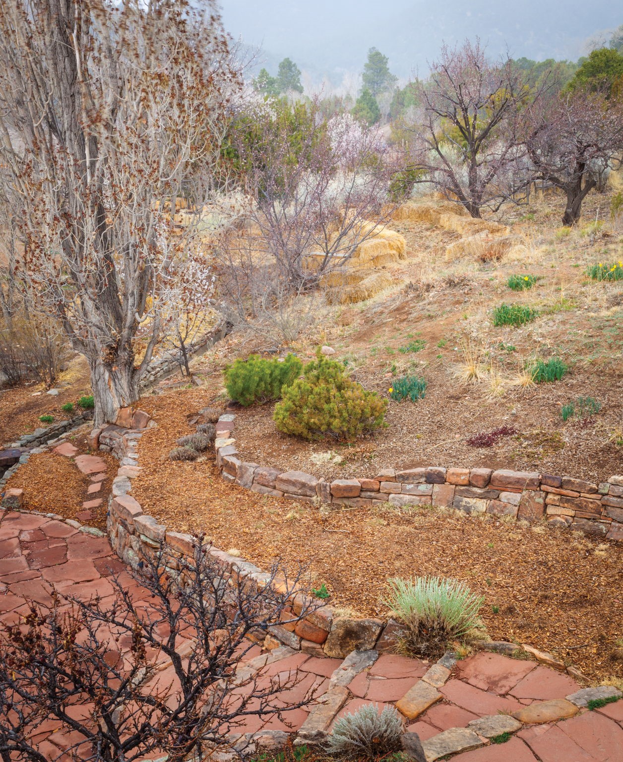 1692 Upper Canyon Road Santa Fe, NM 87501 - Photo 30 of 52 Eastward Landscape View with the historic acequia winding through the natural expanse.
